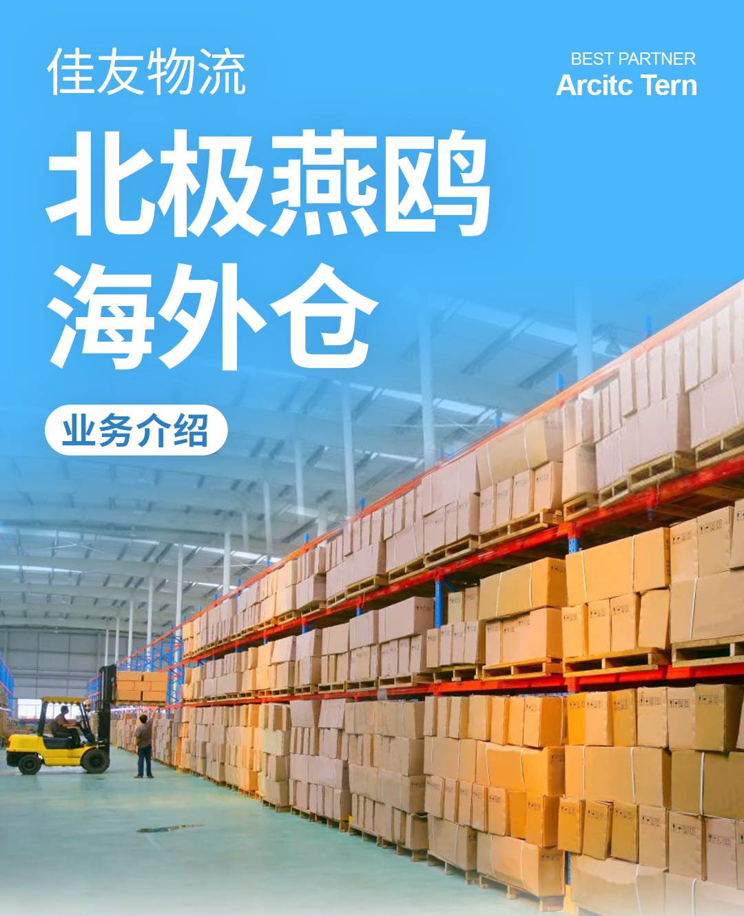 一文详解北极燕鸥海外仓
